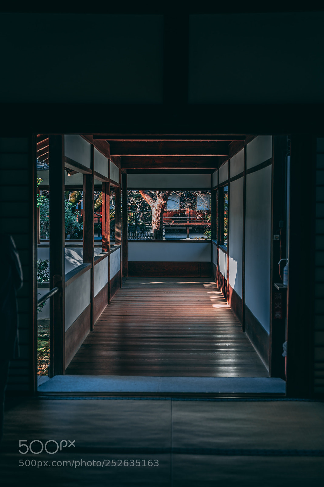 Sony a7R III sample photo. Shinden interior photography