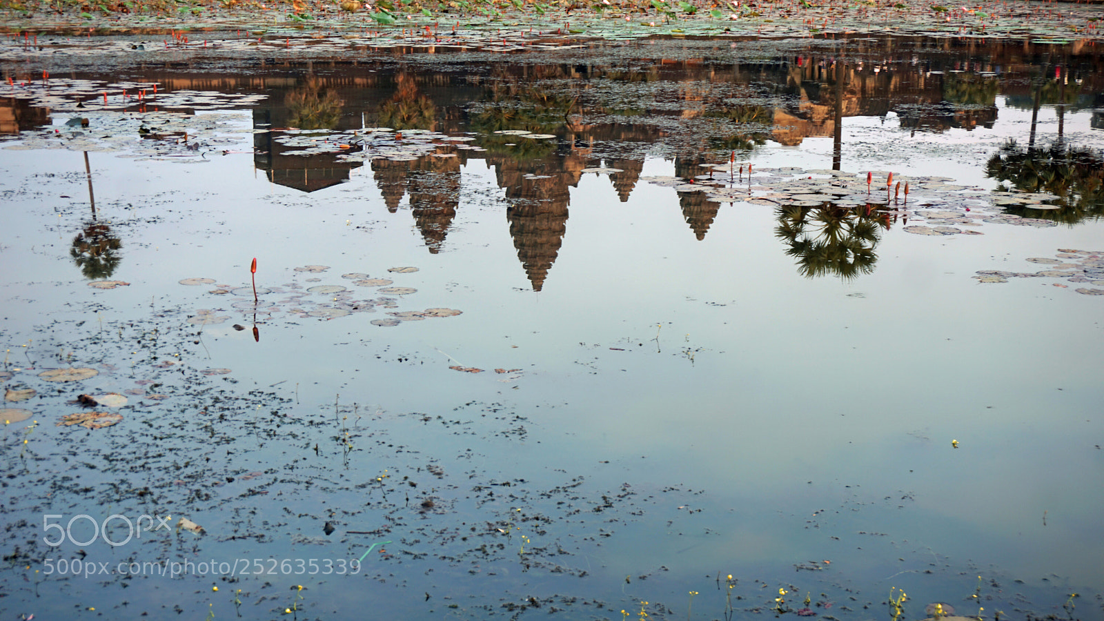 Sony a6000 sample photo. Afternoon at angkor wat photography