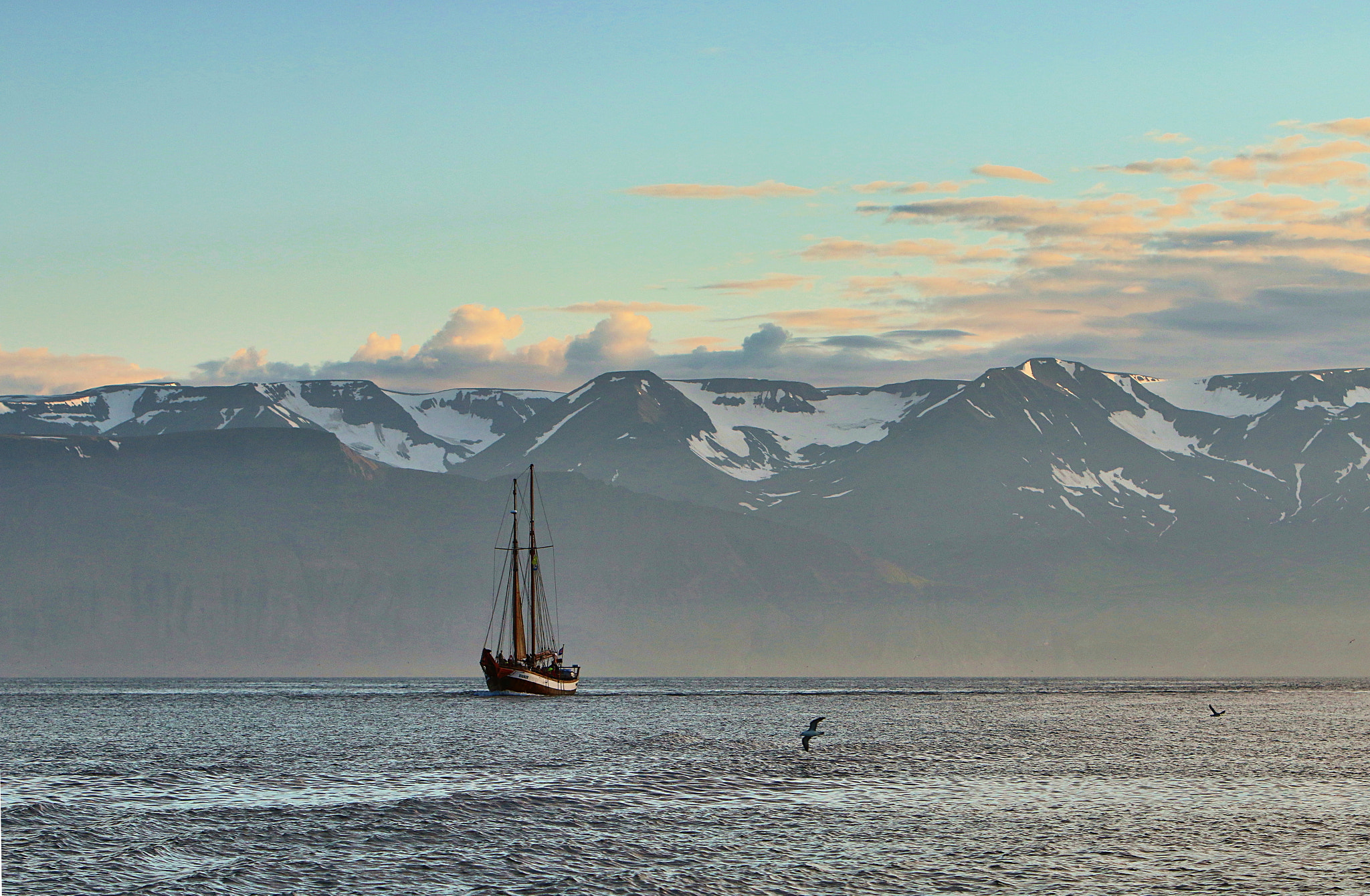 Canon EF 70-200mm F2.8L IS USM sample photo. Off the coast of húsavík photography