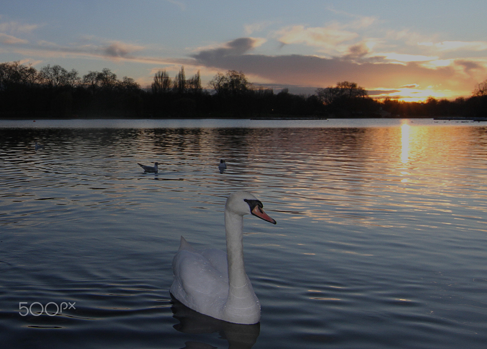 Canon 11-16mm sample photo. Hyde park - londres photography
