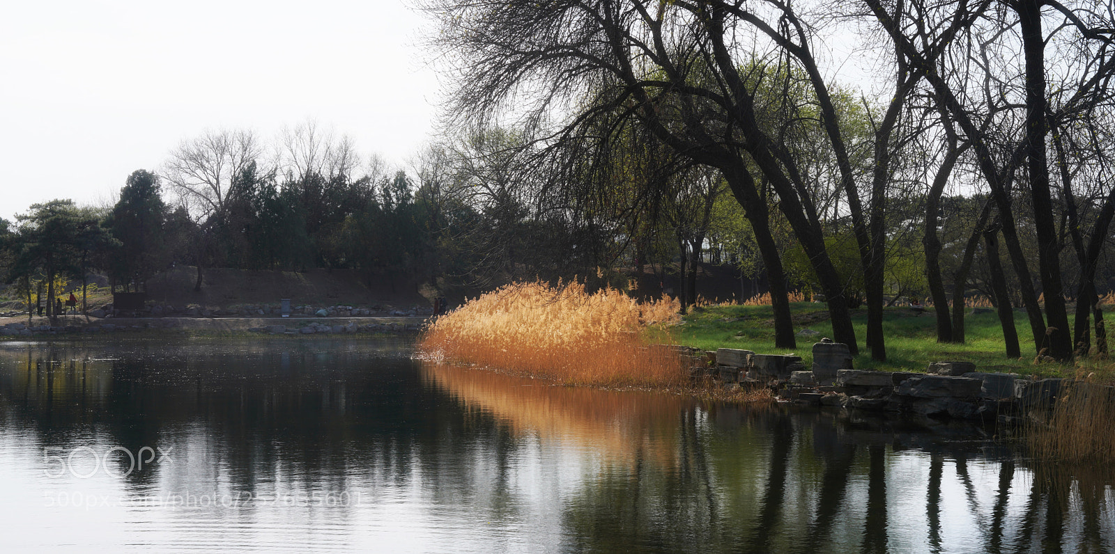 Sony a7R III sample photo. Summer palace photography