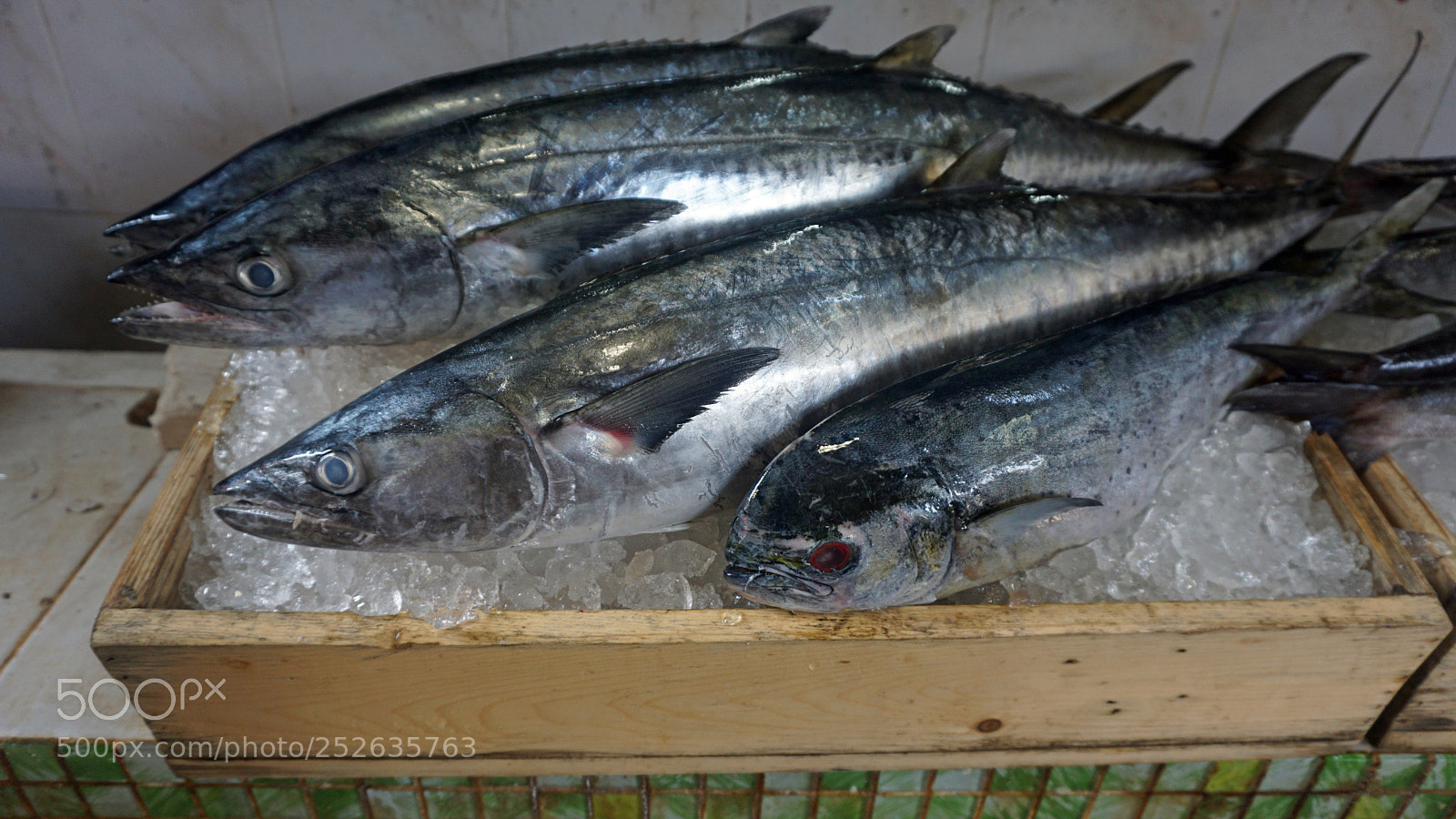 Sony a6000 sample photo. Fresh fish photography