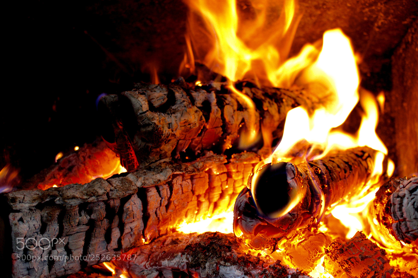 Canon EOS 700D (EOS Rebel T5i / EOS Kiss X7i) sample photo. Keeping warm by the photography