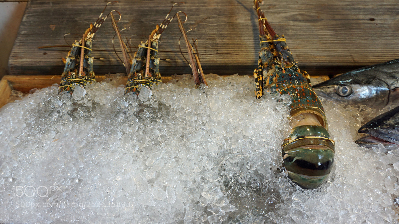Sony a6000 sample photo. Fresh seafood photography