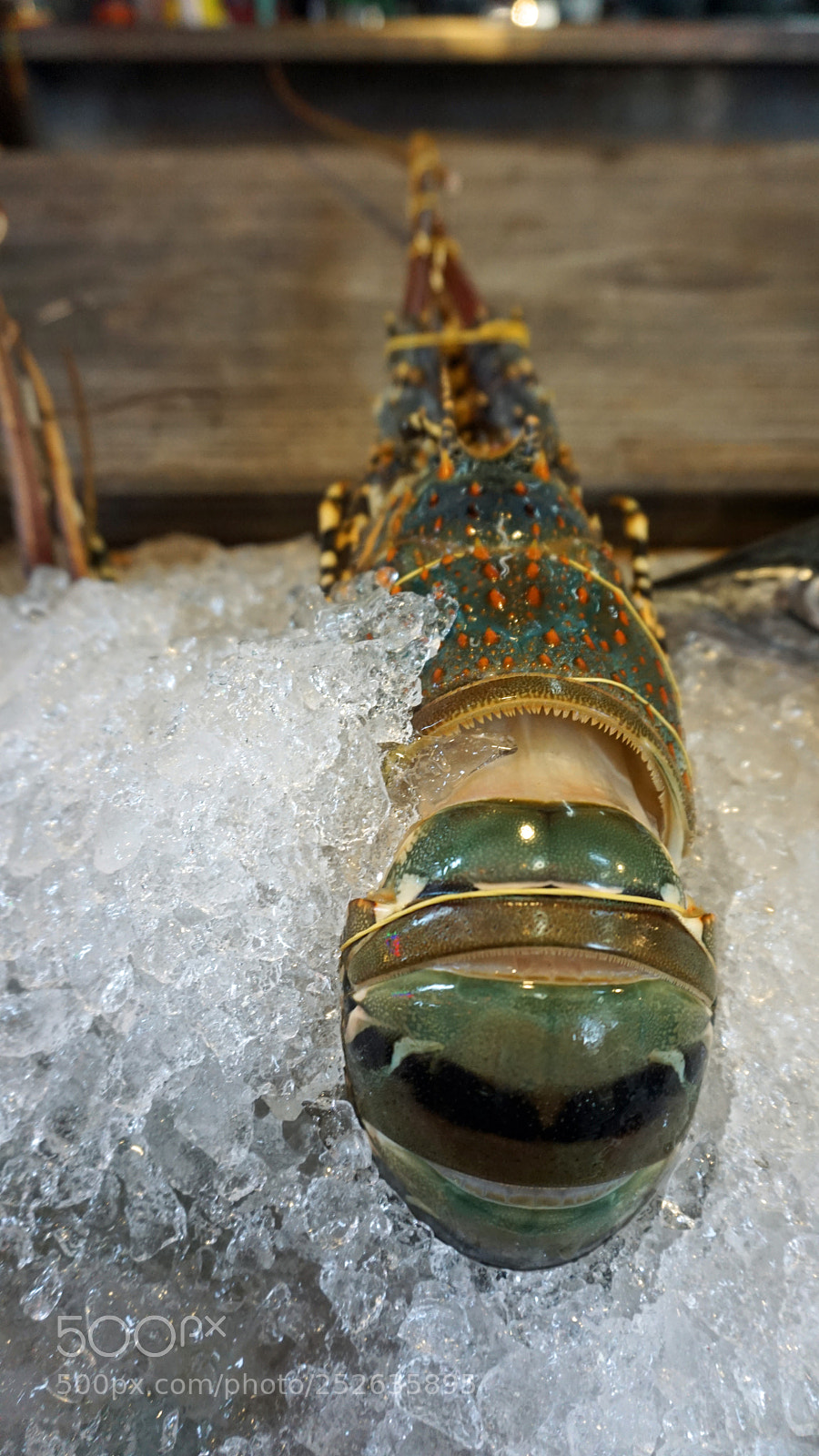 Sony a6000 sample photo. Fresh seafood photography