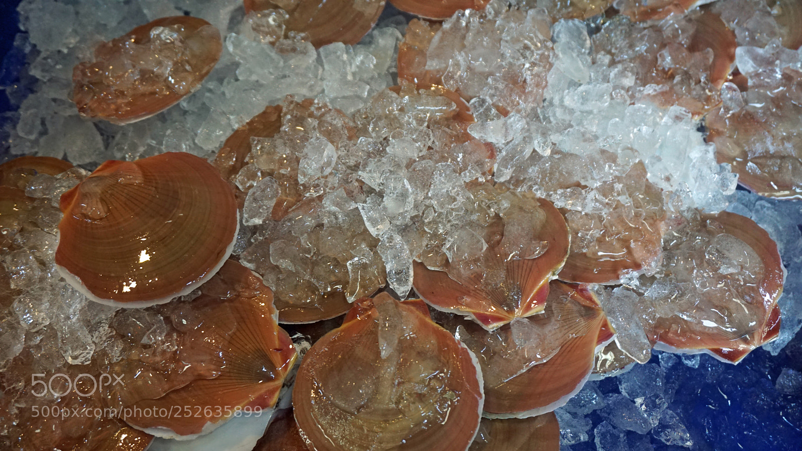 Sony a6000 sample photo. Fresh seafood photography
