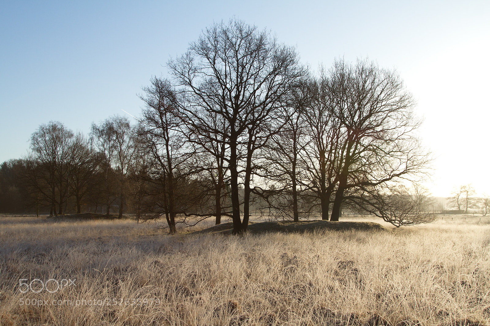 Canon EOS 7D sample photo. Awakening photography