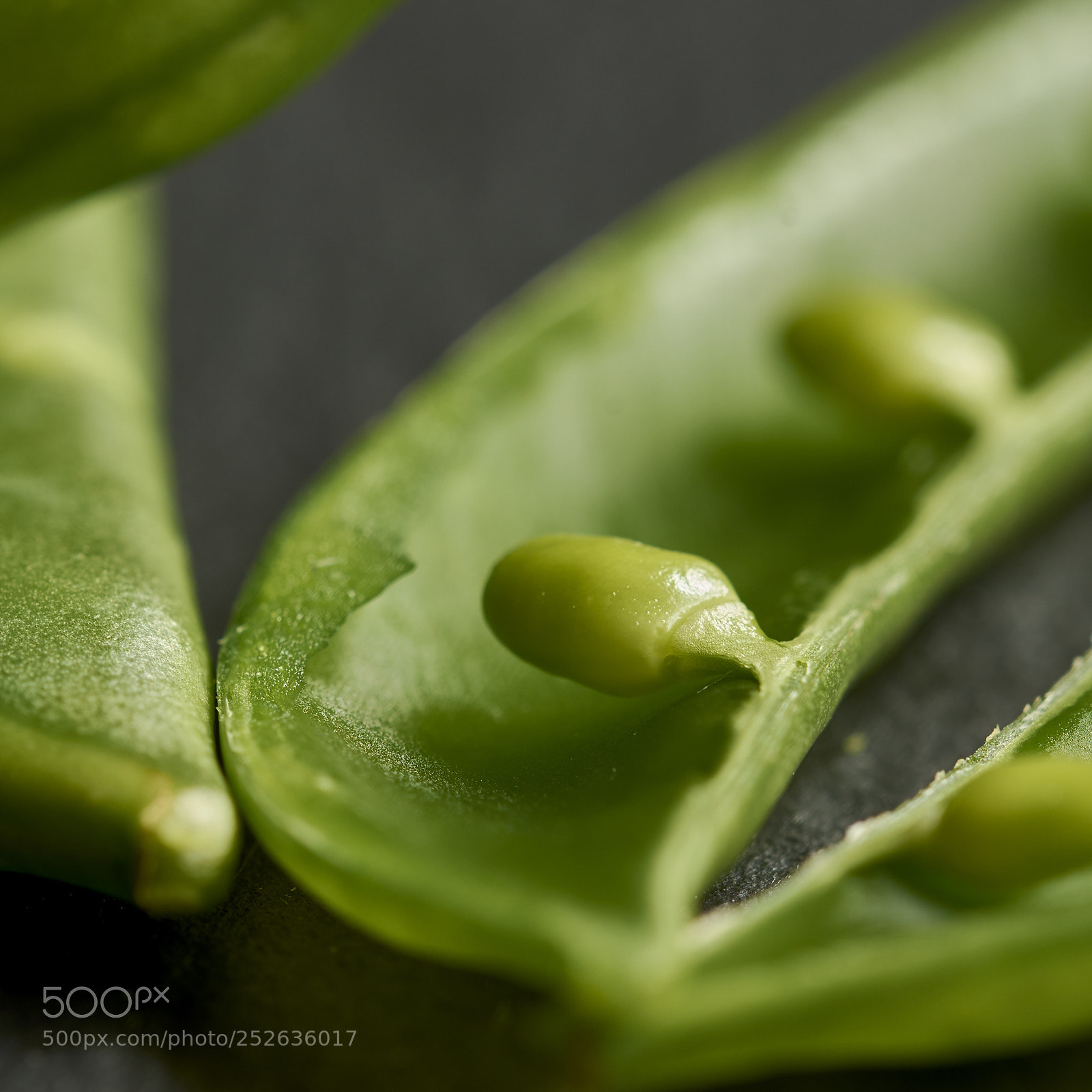 Nikon D7200 sample photo. Sugar snaps photography