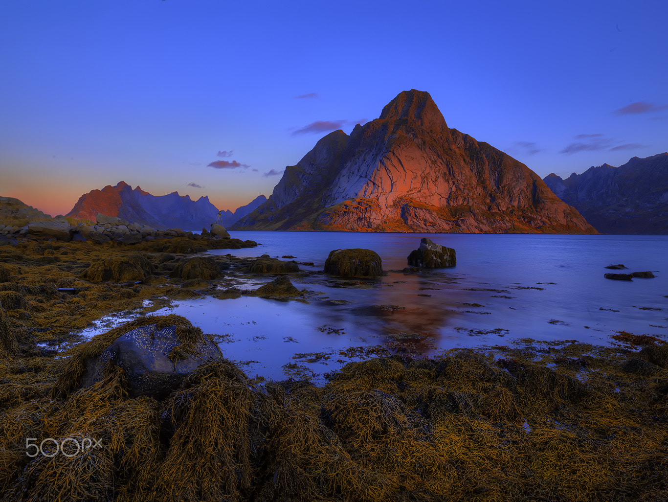Hasselblad H5D sample photo. Enhancer photography
