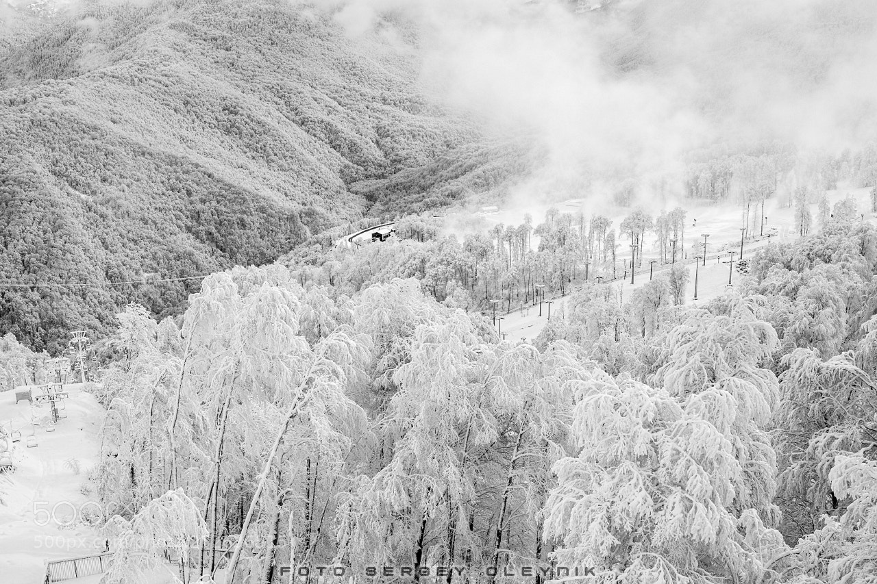 Canon EOS 5D Mark II sample photo. Winter's tale photography