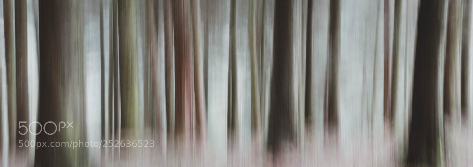 Nikon D7200 sample photo. Treeline at macclesfield forest photography
