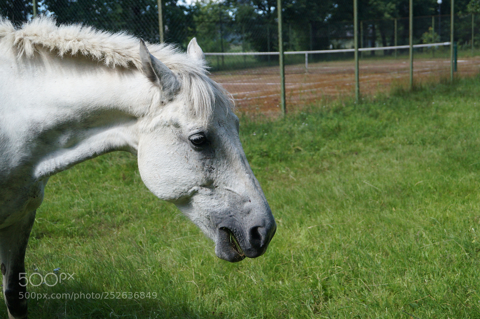 Sony SLT-A57 sample photo. Untitled photography