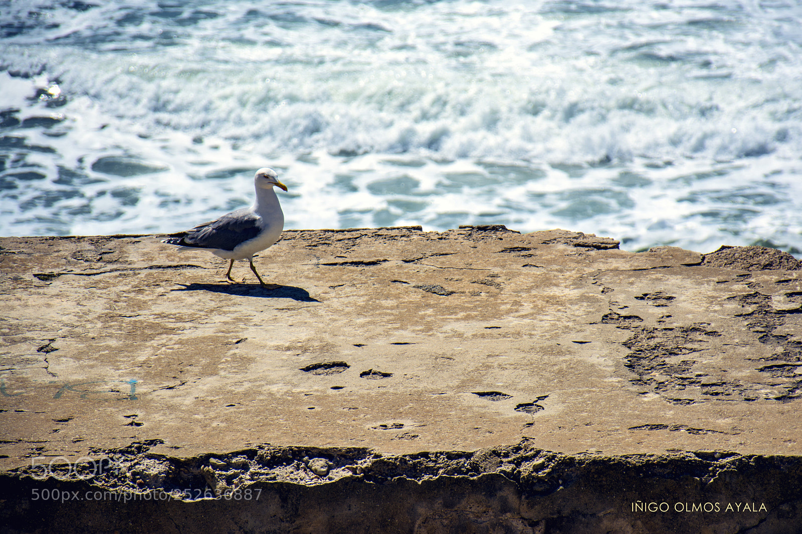 Nikon D7100 sample photo. Cádiz photography