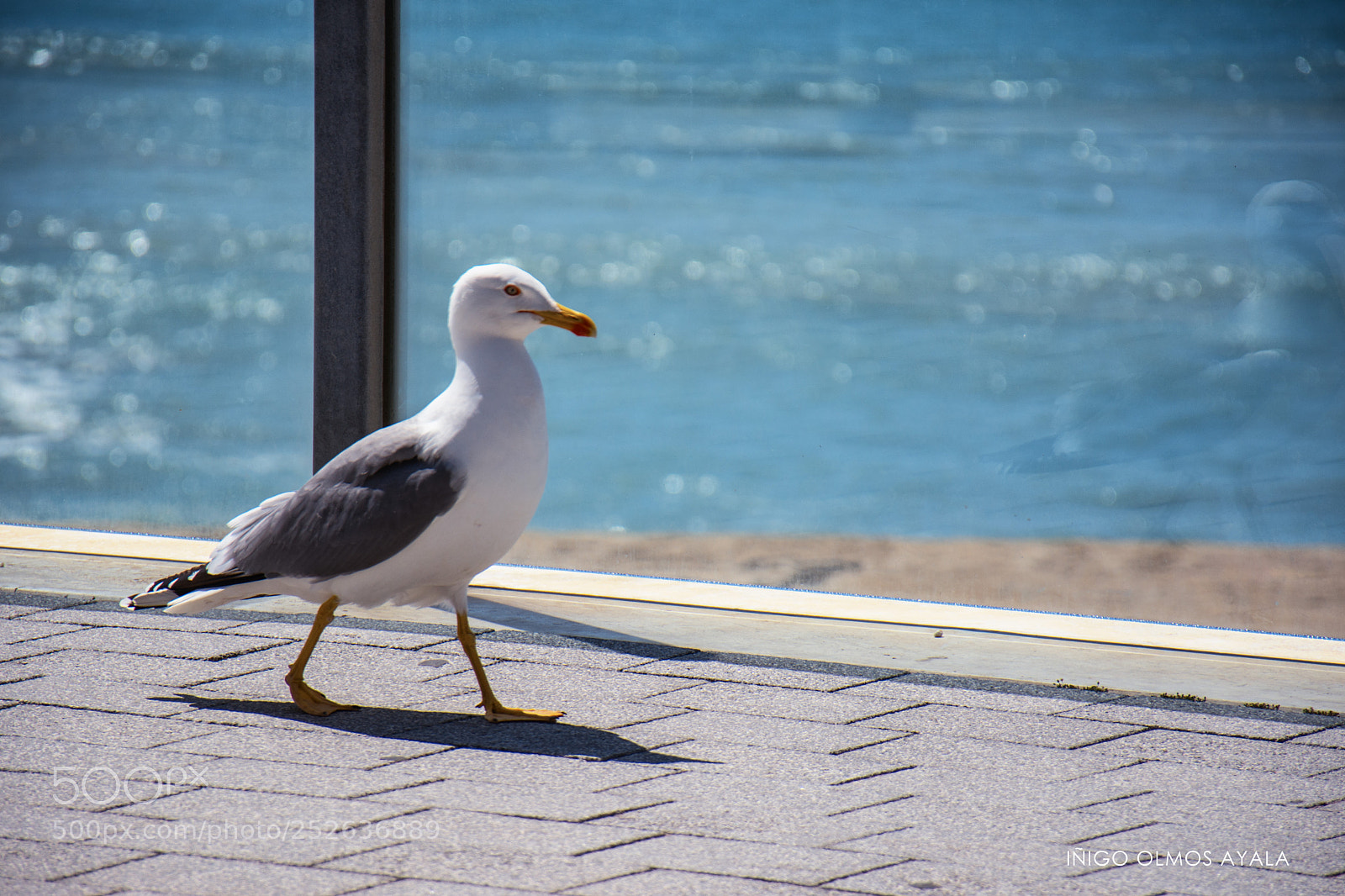 Nikon D7100 sample photo. Cádiz photography