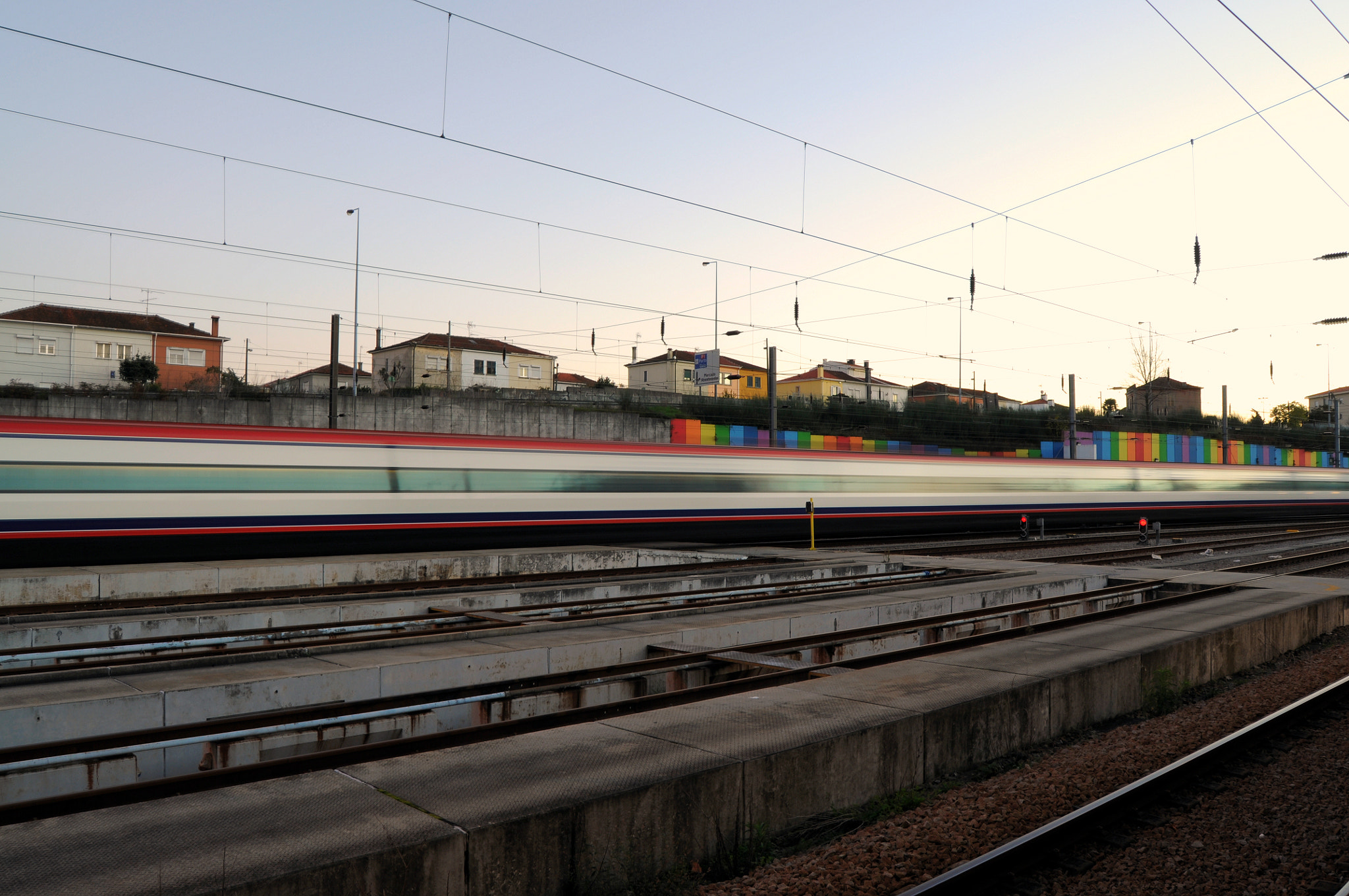 Nikon D5000 sample photo. Alfa pendular at sunset photography