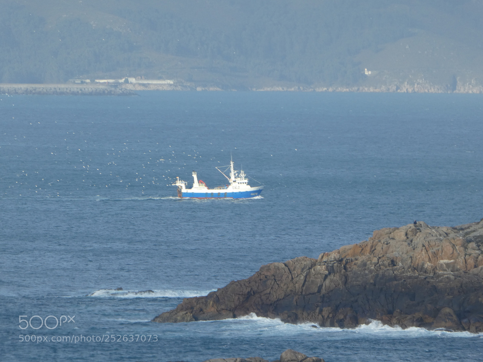 Panasonic DMC-TZ81 sample photo. Pesca photography
