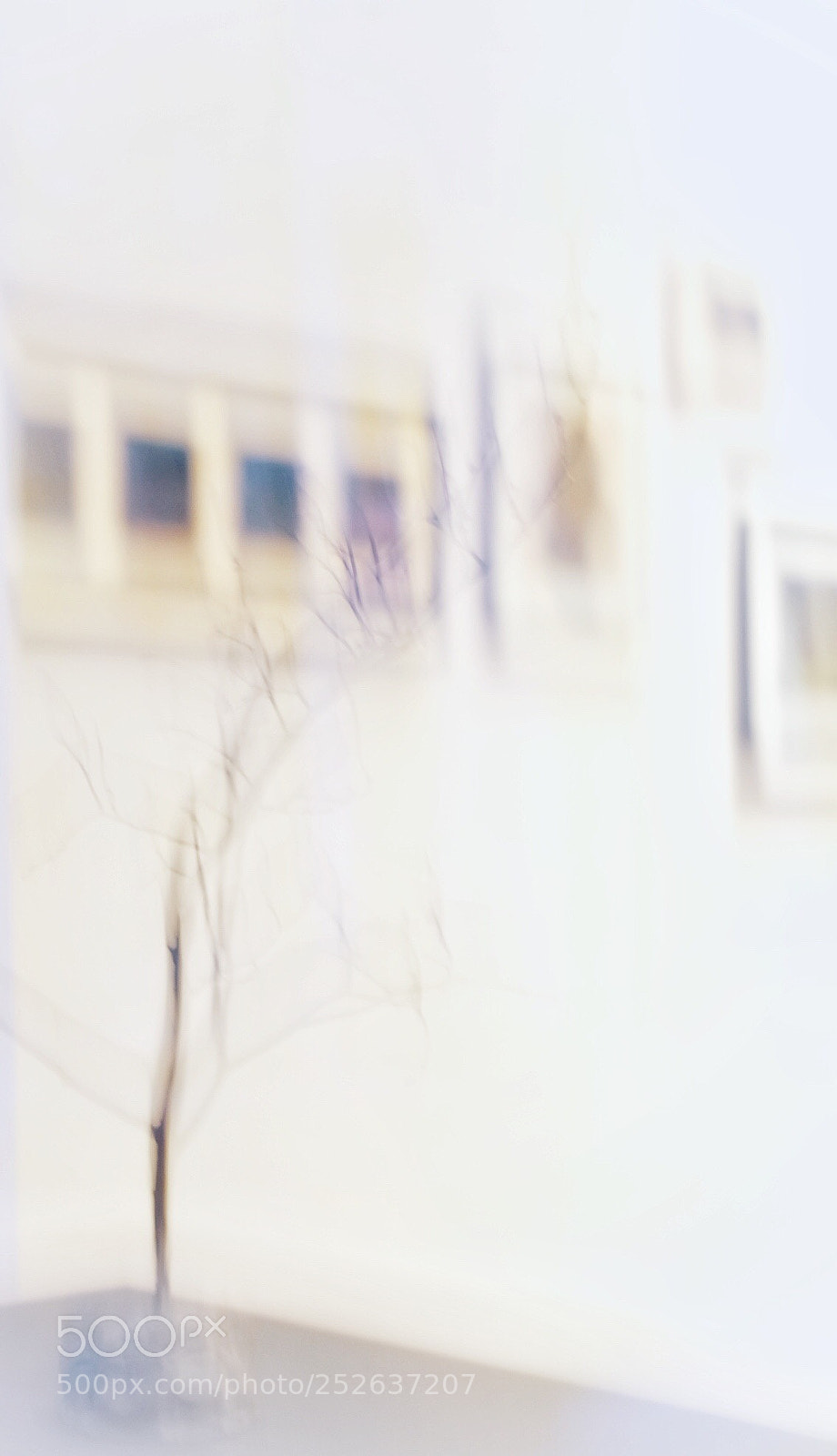 Fujifilm X-T10 sample photo. Untitled photography