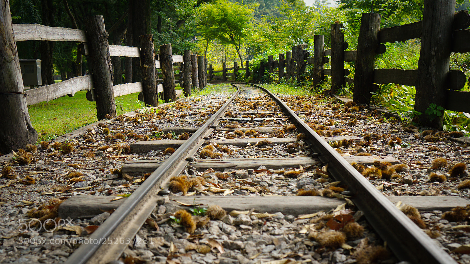 Sony a6000 sample photo. Train tracks.jpg photography