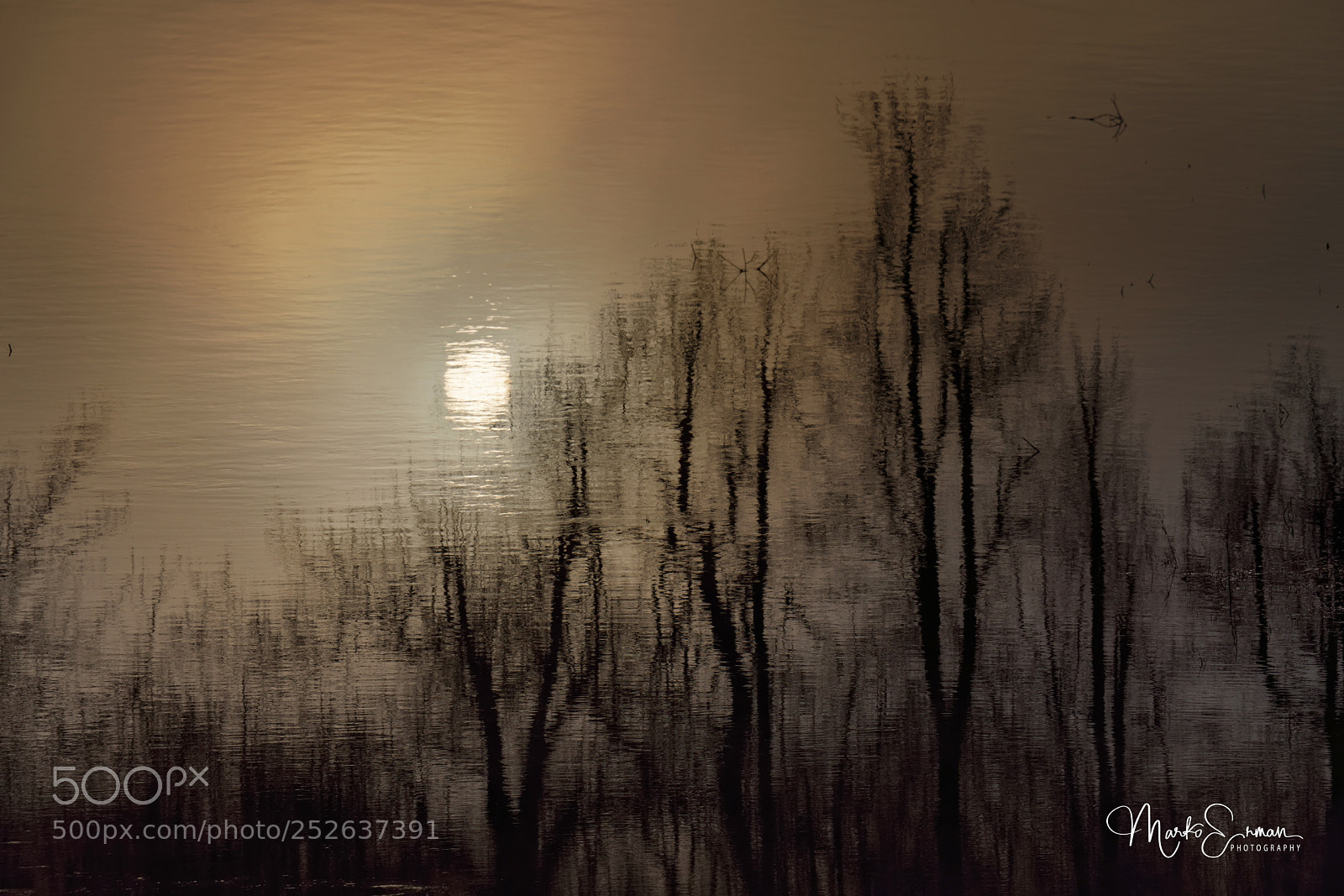 Sony a7R II sample photo. Impressionism in nature photography