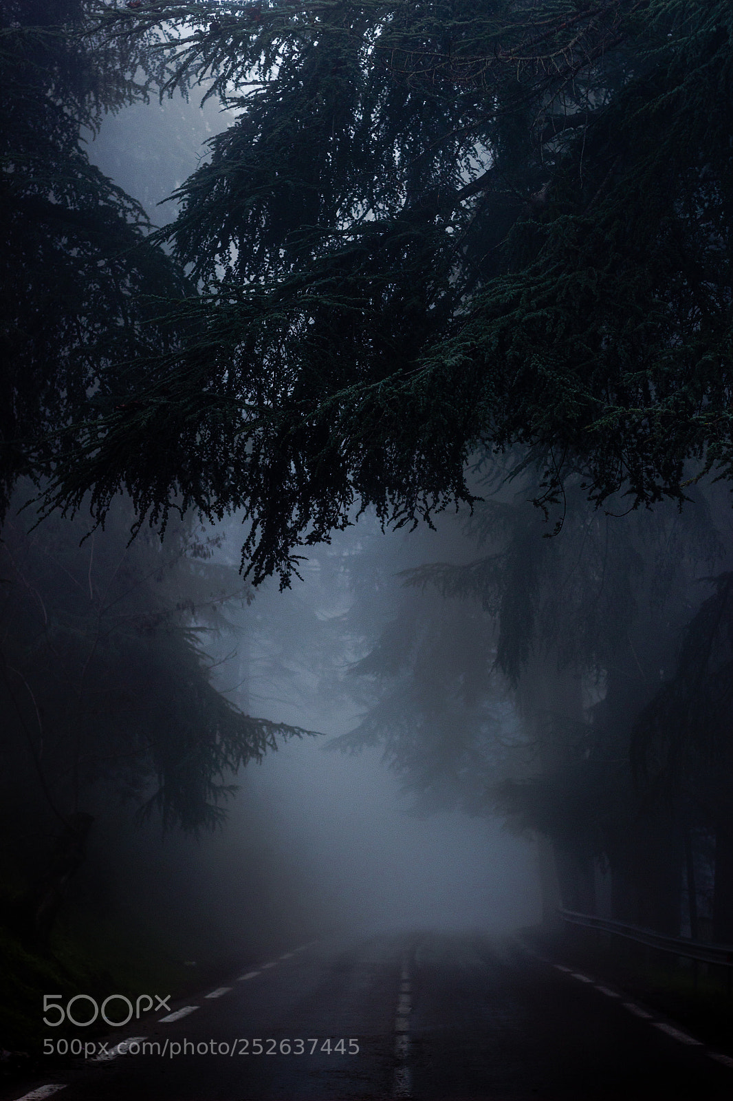 Canon EOS 650D (EOS Rebel T4i / EOS Kiss X6i) sample photo. The misty mountain cold photography