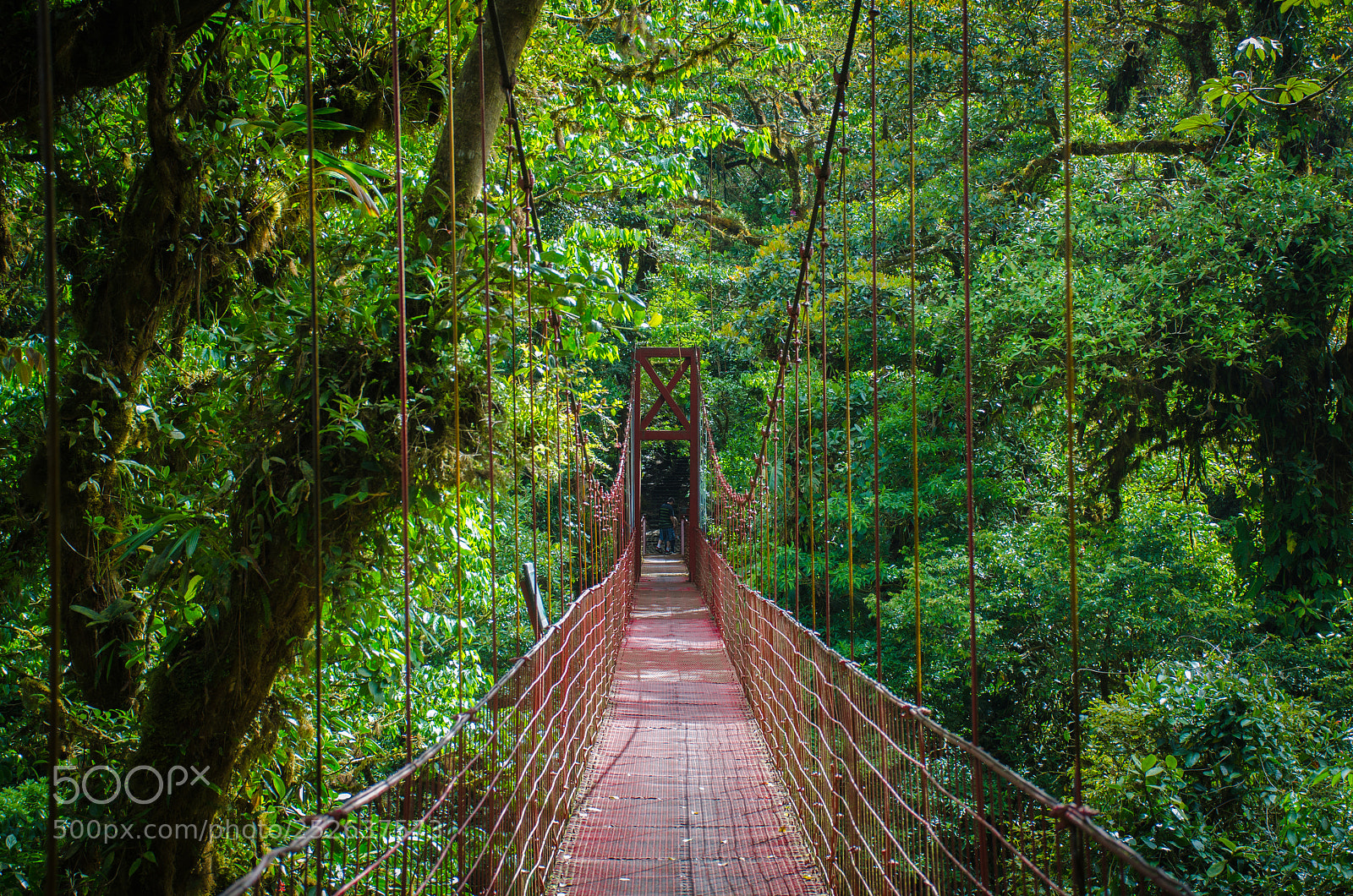 Nikon D7000 sample photo. Monteverde photography