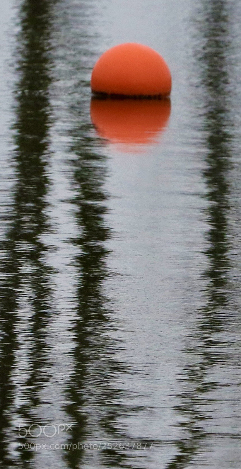 Canon EOS 7D Mark II sample photo. Reflection photography