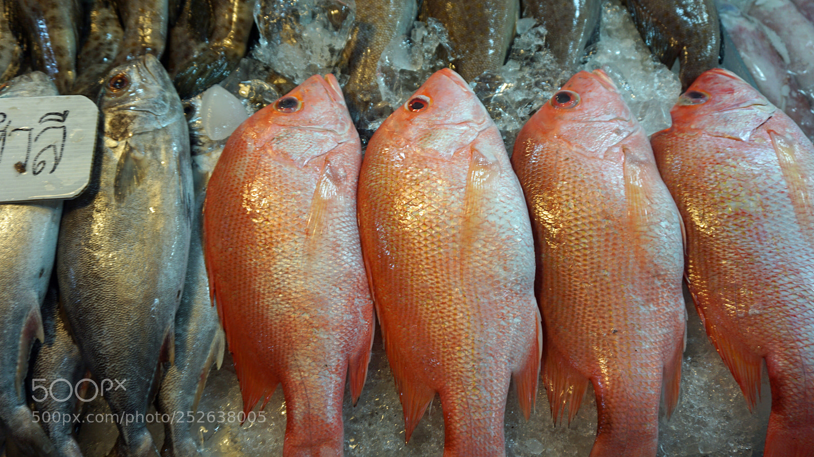 Sony a6000 sample photo. Streetfood in thailand photography