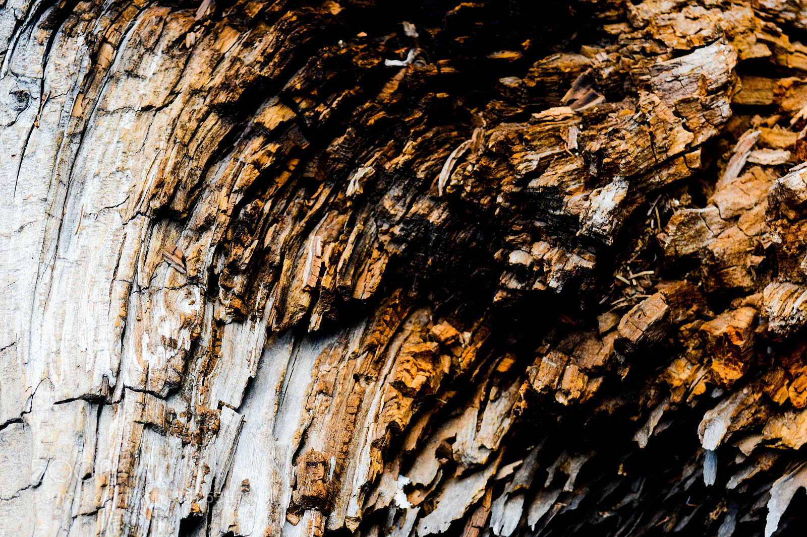 Nikon D7100 sample photo. Solid photography