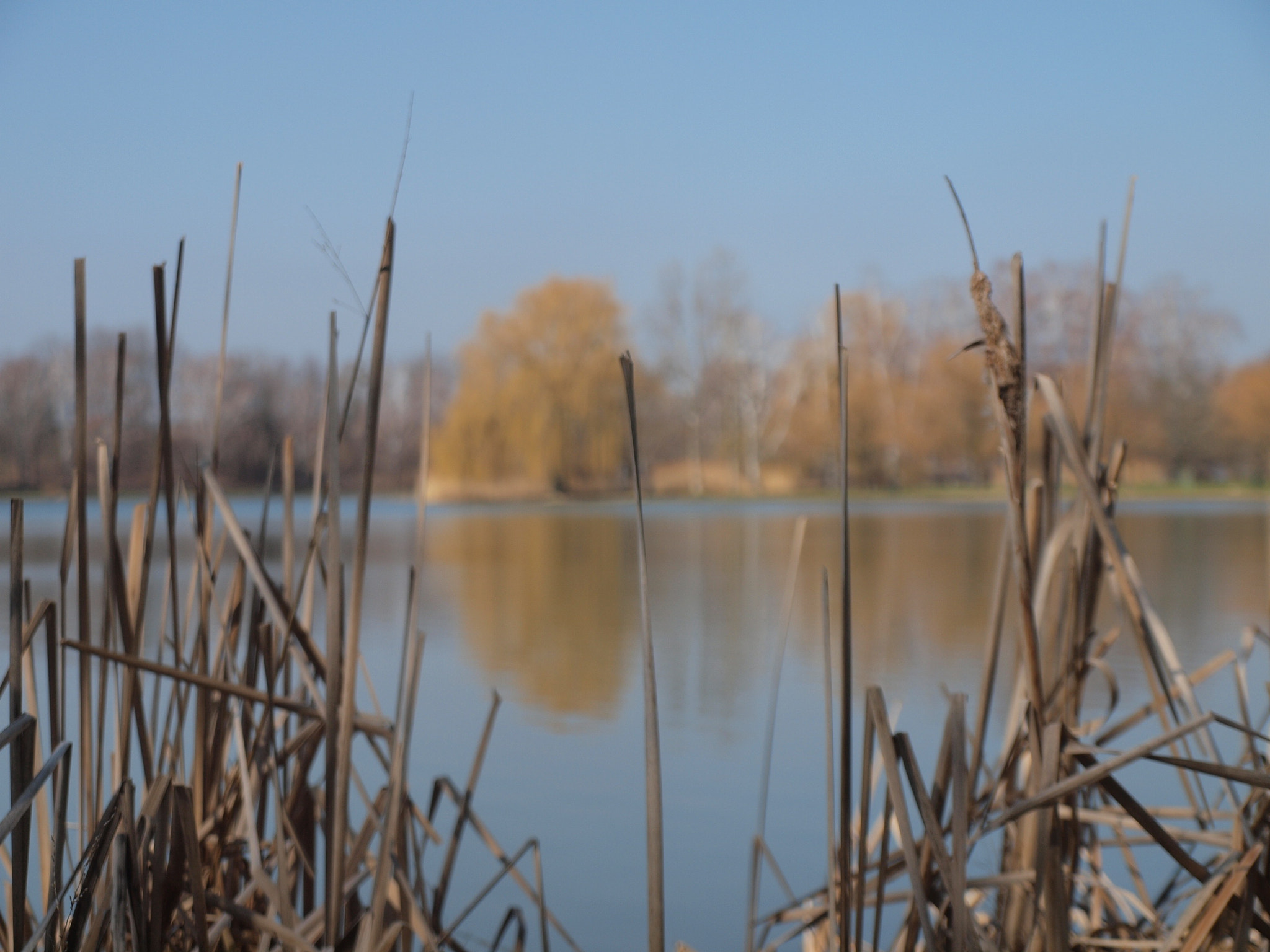 Olympus E-620 (EVOLT E-620) sample photo. 6# mirror photography