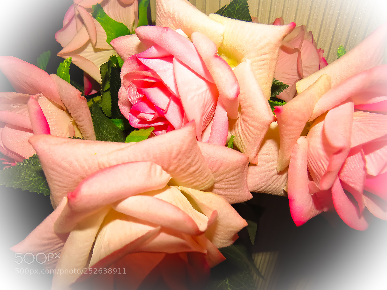 Canon PowerShot SX540 HS sample photo. Untitled photography