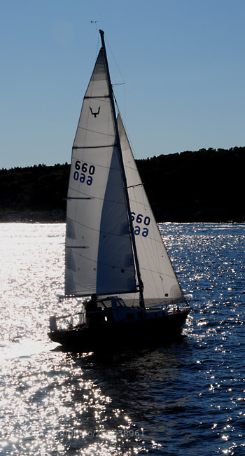 Nikon D5000 sample photo. Td photography