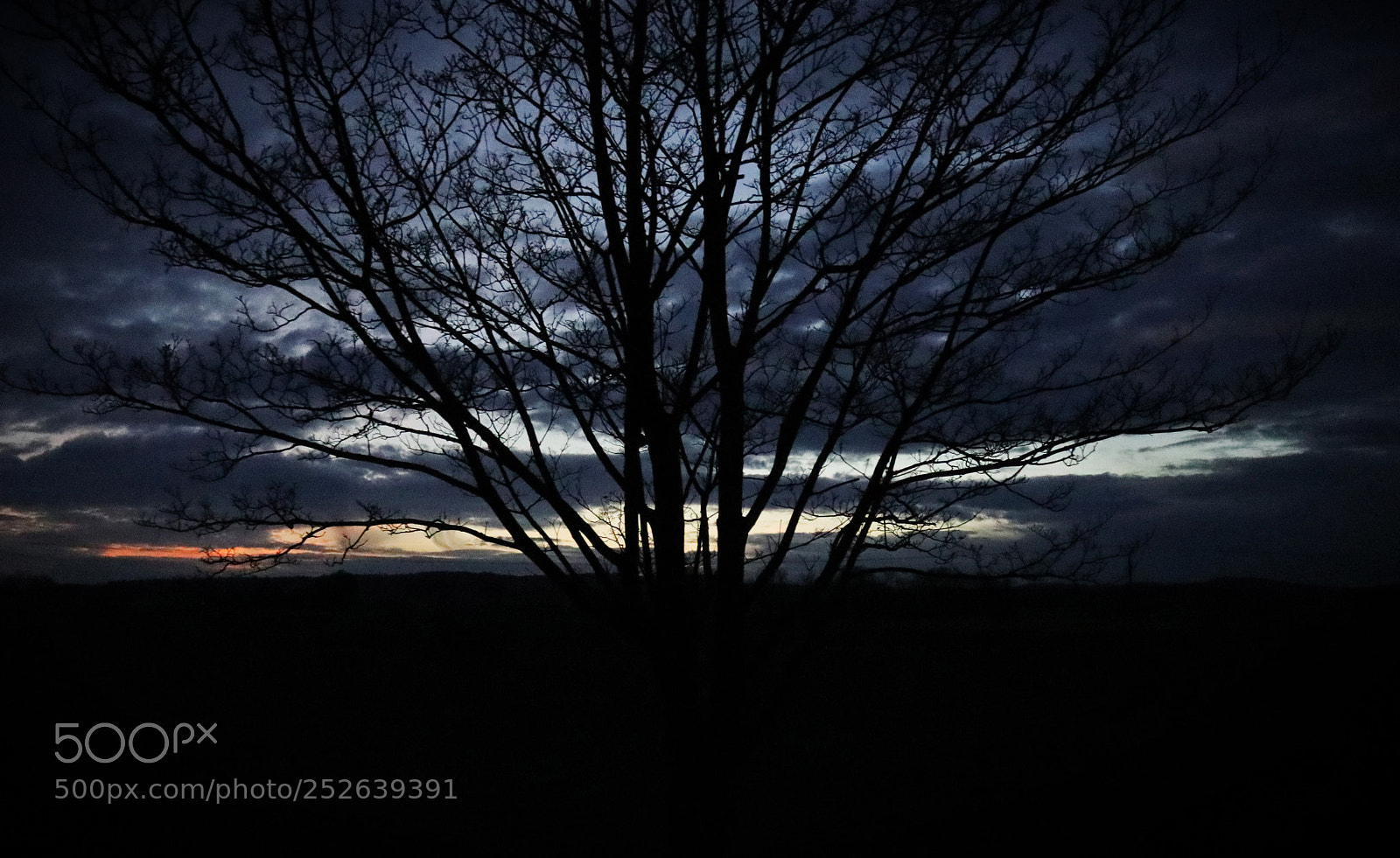 Canon EOS M5 sample photo. Untitled photography