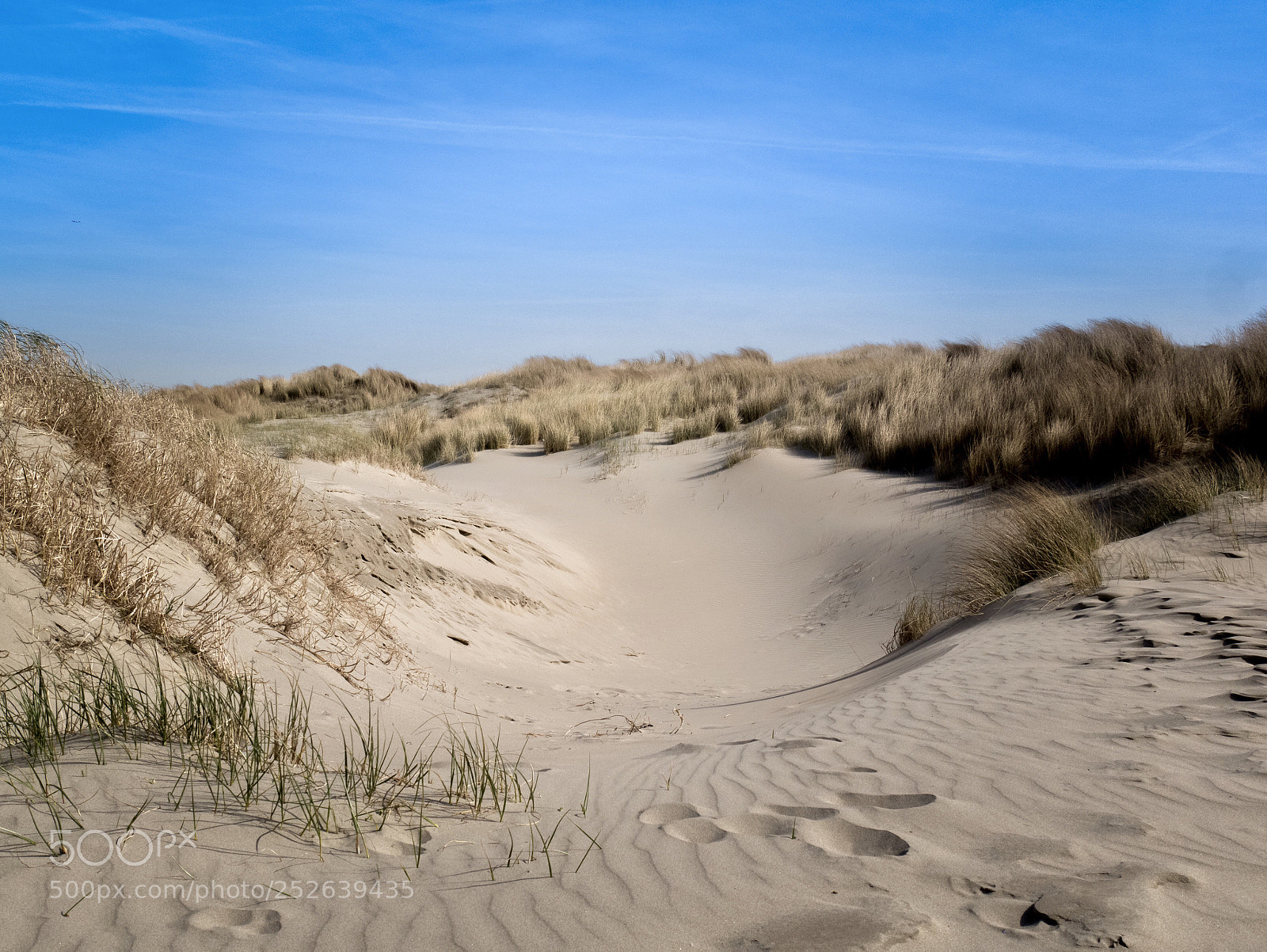 Panasonic Lumix DMC-G85 (Lumix DMC-G80) sample photo. Dune dip photography