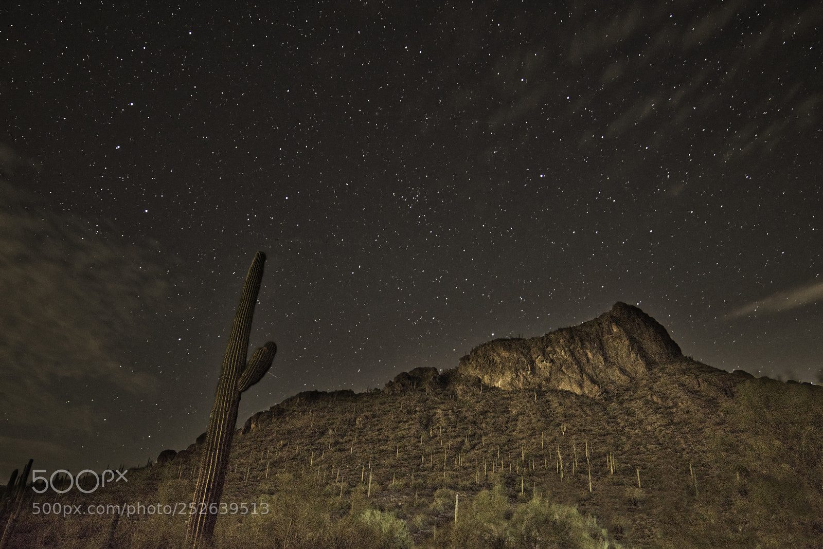 Nikon D7200 sample photo. Mt picacho at night photography