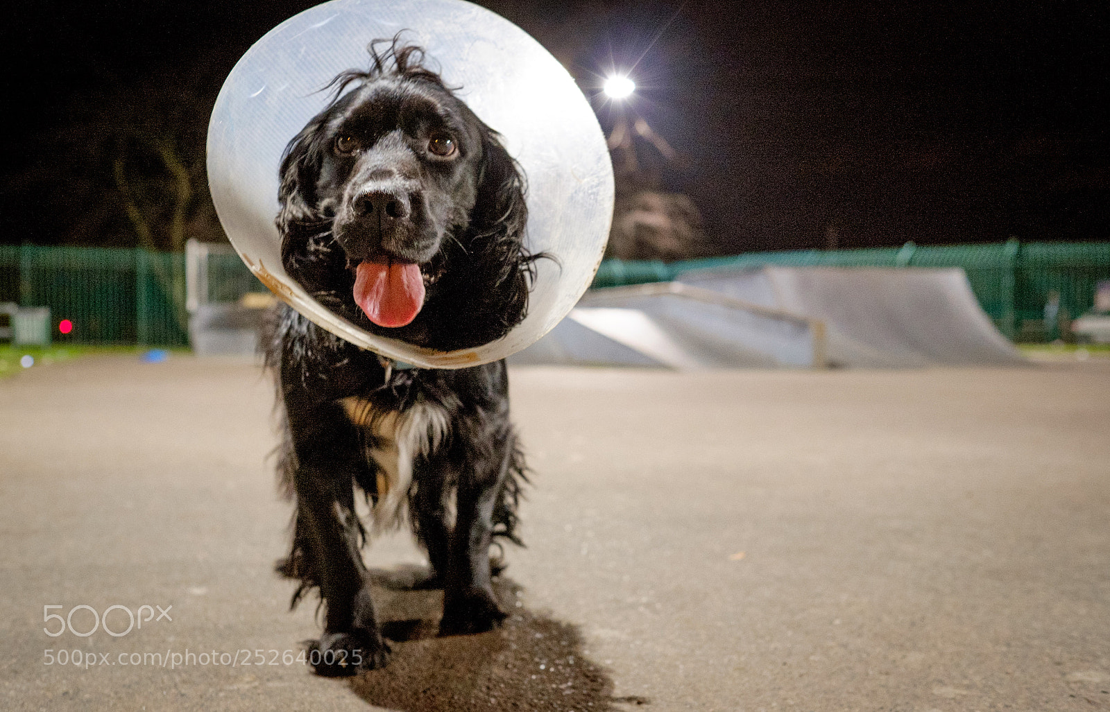 Fujifilm X-T1 sample photo. Pilot in a vet photography