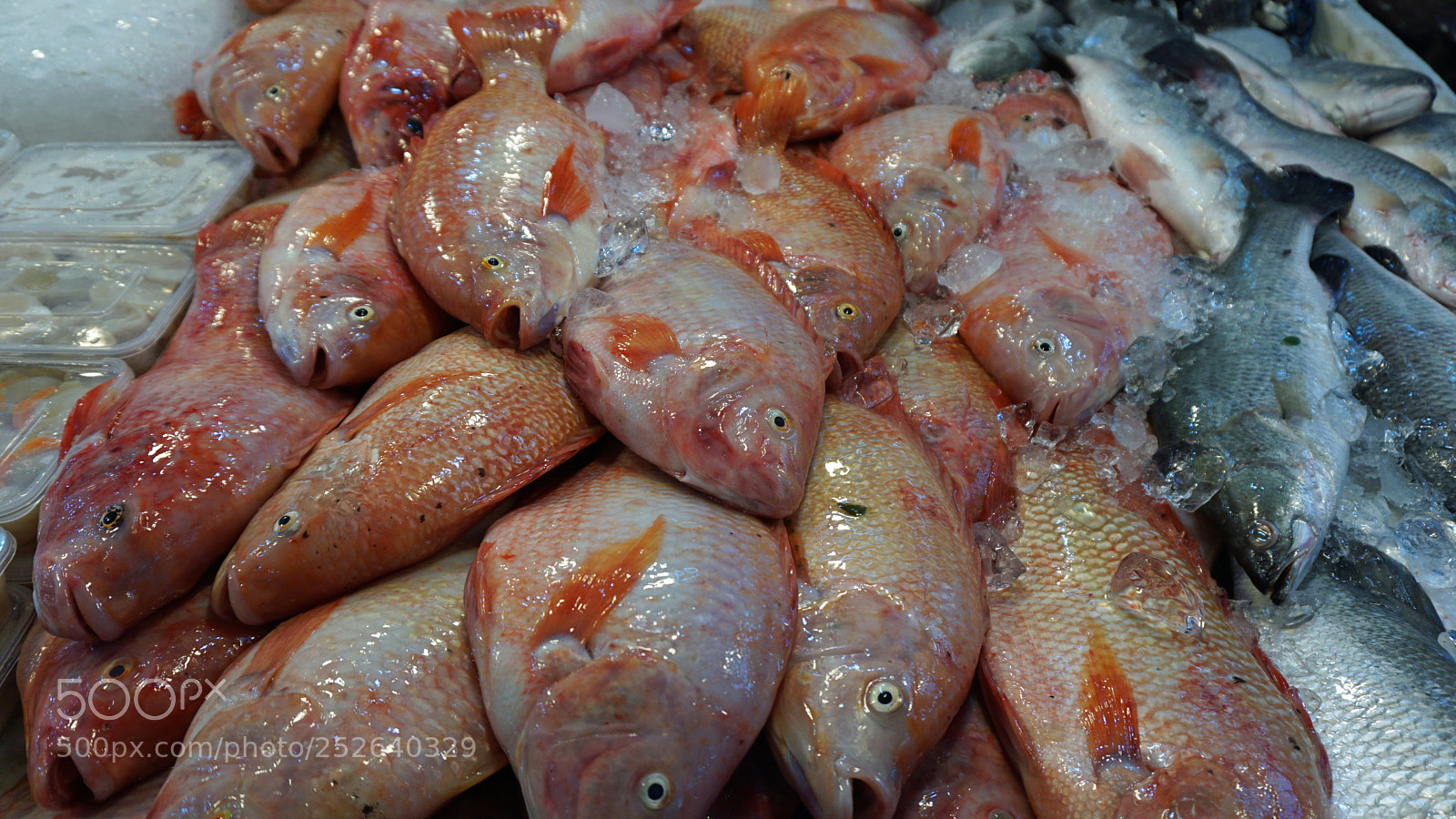Sony a6000 sample photo. Streetfood in thailand photography