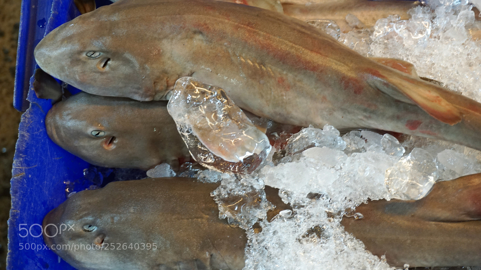 Sony a6000 sample photo. Streetfood in thailand photography