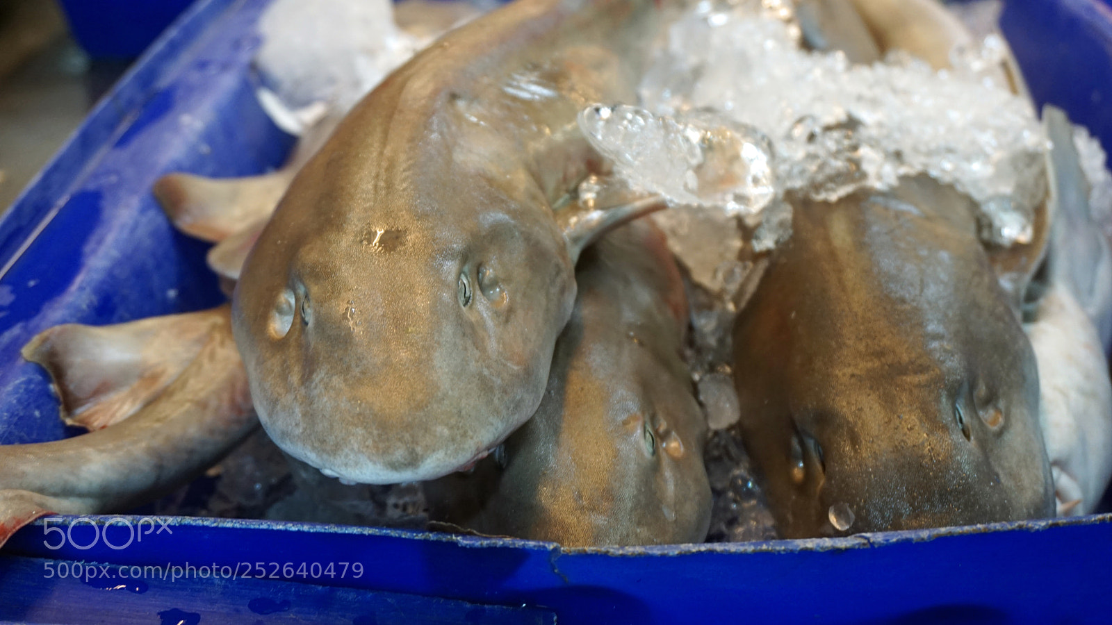 Sony a6000 sample photo. Streetfood in thailand photography