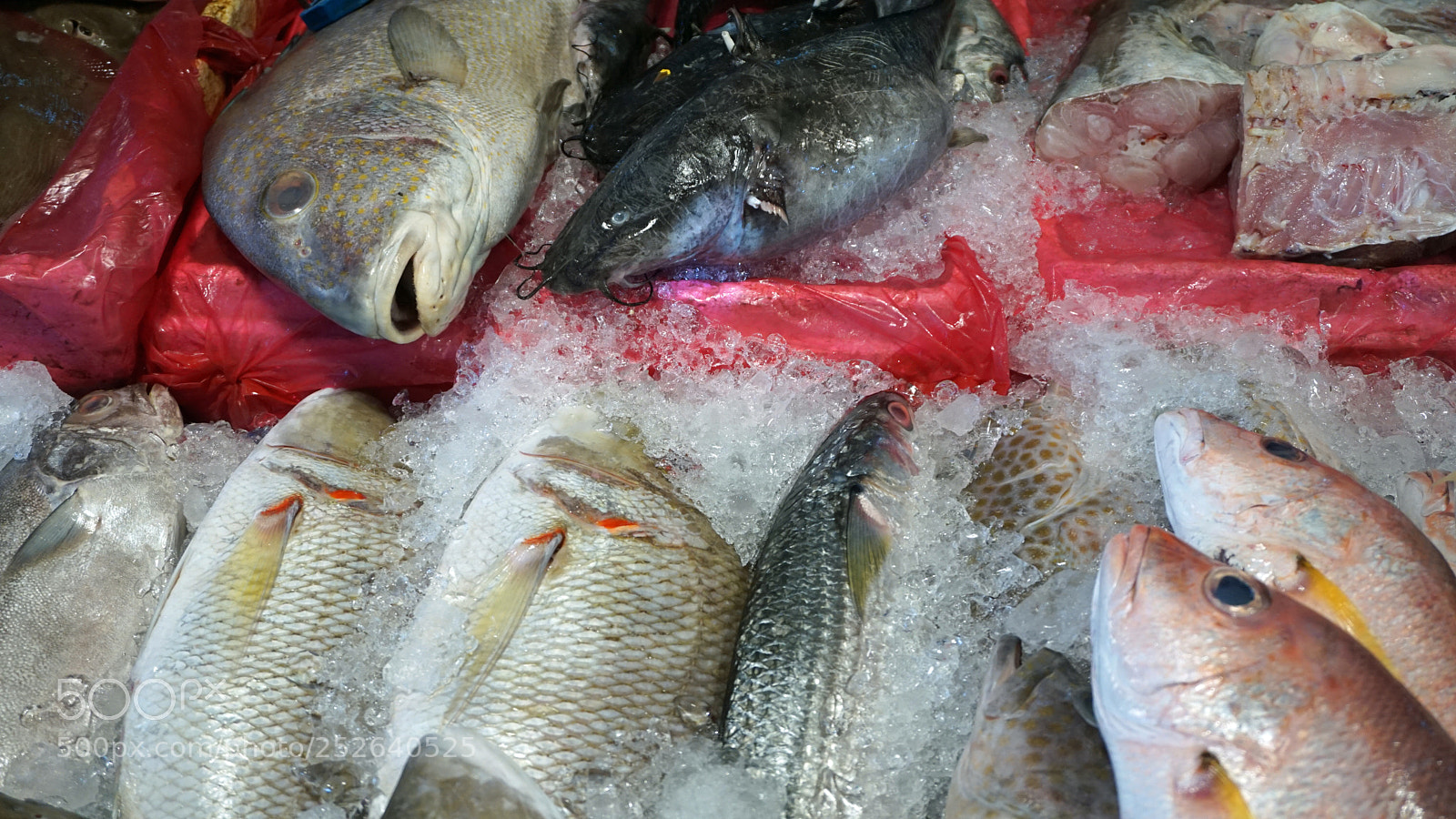 Sony a6000 sample photo. Streetfood in thailand photography