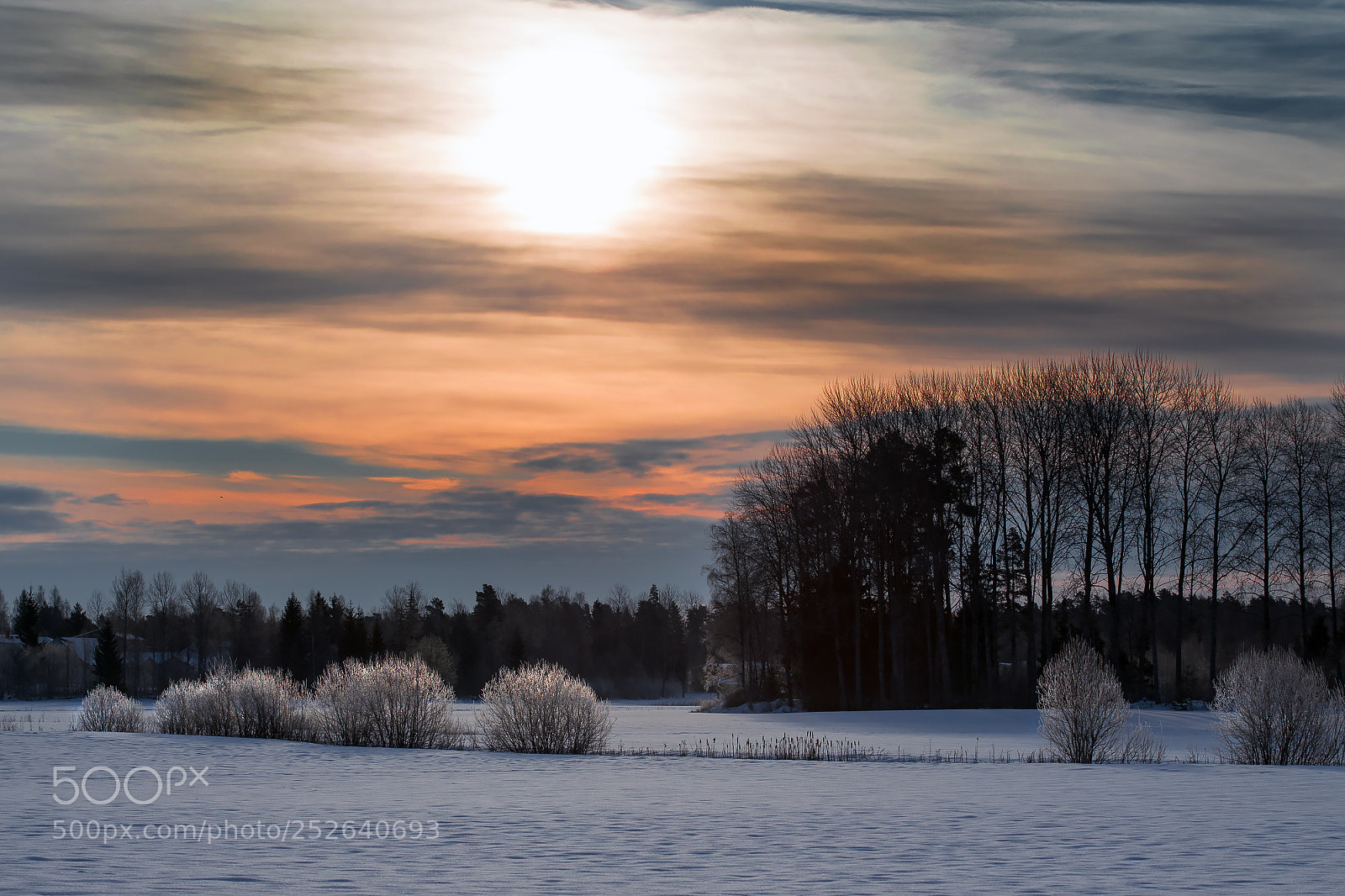 Canon EOS 5D Mark IV sample photo. Still winter photography