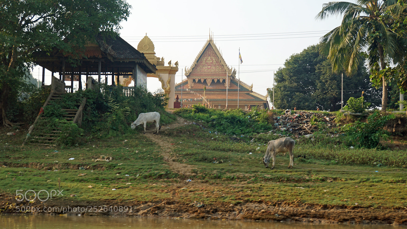 Sony a6000 sample photo. Tonle sap fishervillage photography