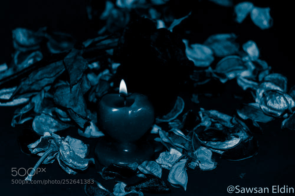 Canon EOS 70D sample photo. Untitled photography