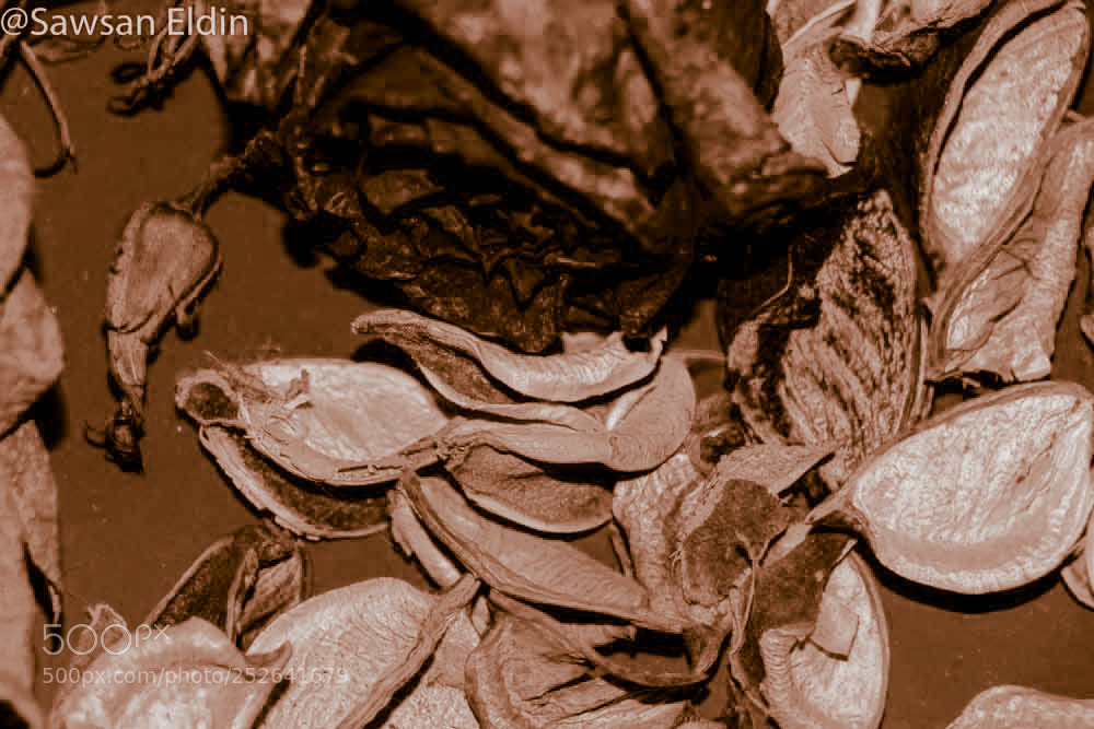 Canon EOS 70D sample photo. Untitled photography