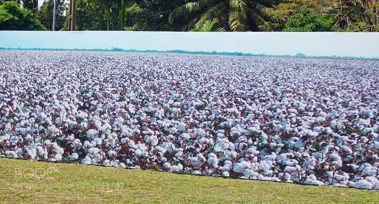 Sony a6000 sample photo. Silk manufacture photography