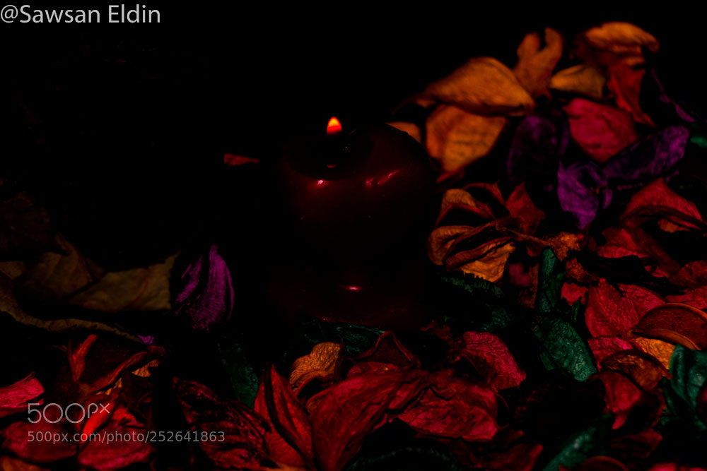 Canon EOS 70D sample photo. Untitled photography