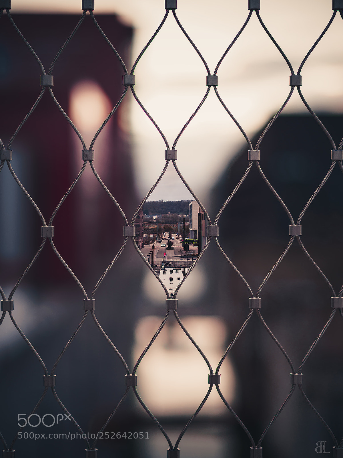 Sony a7 III sample photo. Untitled photography