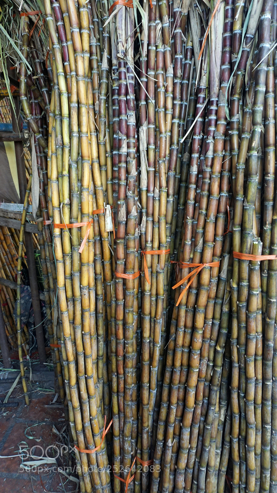 Sony a6000 sample photo. Bamboo shop photography