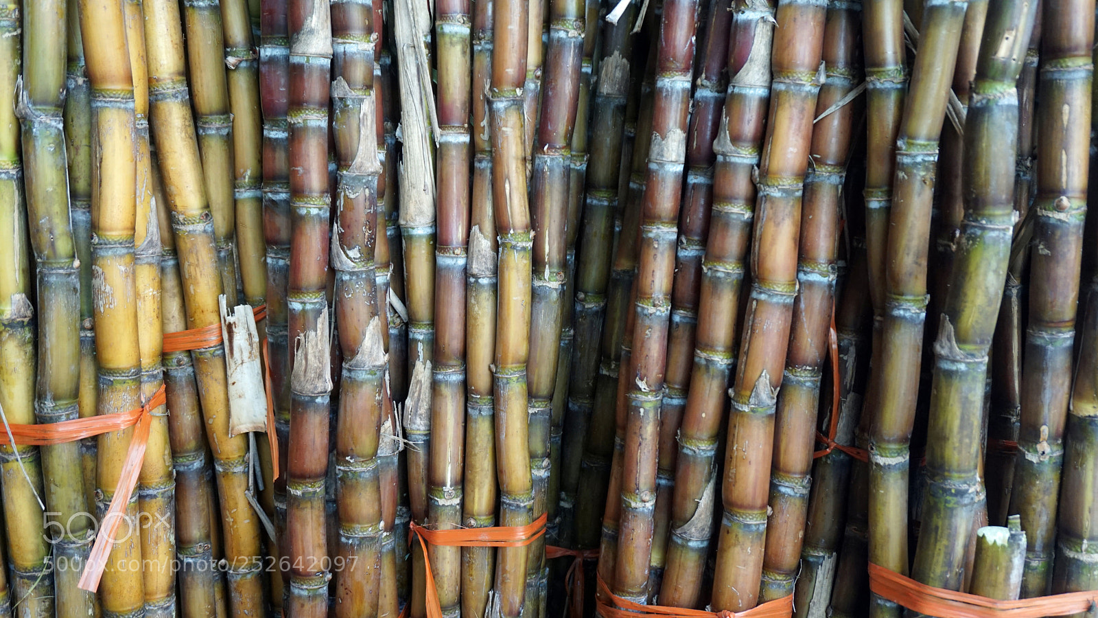 Sony a6000 sample photo. Bamboo shop photography