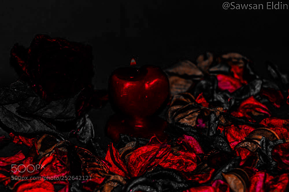 Canon EOS 70D sample photo. Untitled photography
