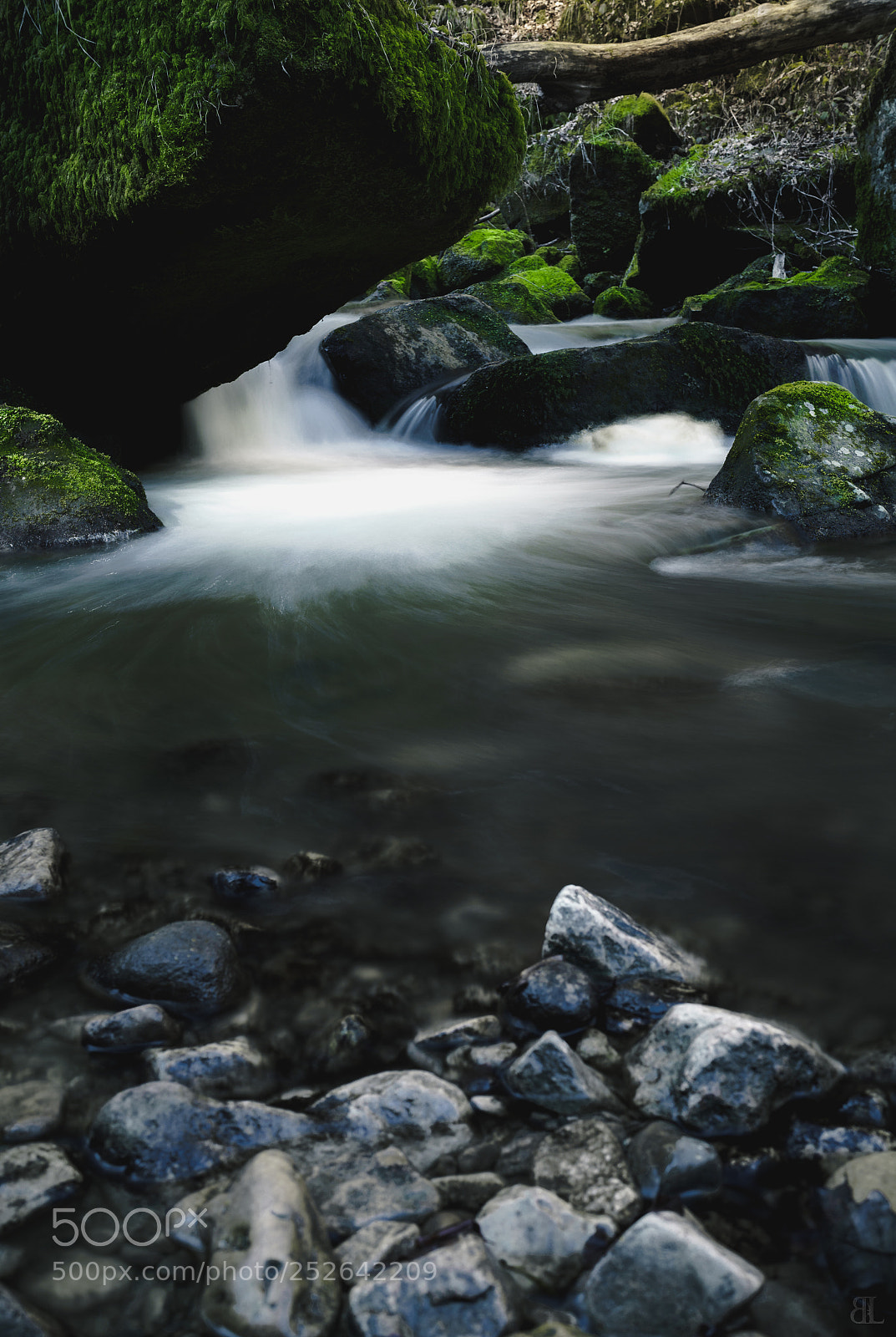 Sony a7 III sample photo. Untitled photography